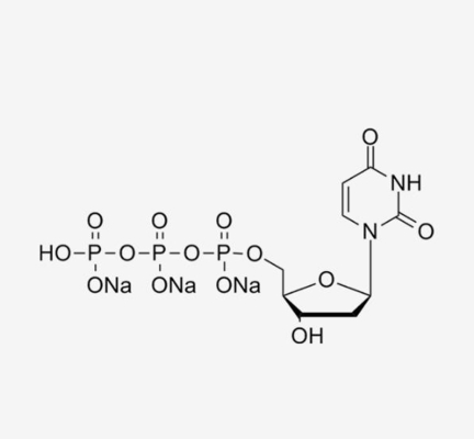 Бесцветное решение 2' 100mm - Deoxyadenosine-5'-Triphosphate 5' - DATP в PCR CAS 1927-31-7