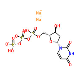 DUTP Deoxynucleotides 2' - солянное раствор CAS натрия Deoxyuridine-5'-Triphosphate 102814-08-4