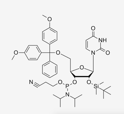 HUANA DMT-2'-O-TBDMS-U-CE-RNA Phosphoramidites CAS 118362-03-1 C45H61N4O9PSi