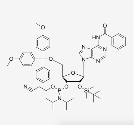 Синтез DMT-2'-O-TBDMS-A олигонуклеотида РИБОНУКЛЕИНОВОЙ КИСЛОТЫ CAS 104992-55-4 (Bz) - CE-Cyanoethyl Phosphoramidite