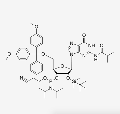 DMT-2'-O-TBDMS-G (IBu) - синтез CAS 147201-04-5 изготовленной на заказ РИБОНУКЛЕИНОВОЙ КИСЛОТЫ CE-RNA Phosphoramidites Oligo