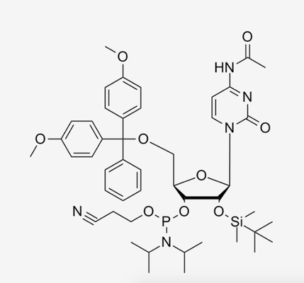 Изготовленное на заказ DMT-2'-O-TBDMS-C (Ac) - олигонуклеотиды Oligos C47H64N5O9PSi CAS 121058-88-6 РИБОНУКЛЕИНОВОЙ КИСЛОТЫ CE-Phosphoramidite