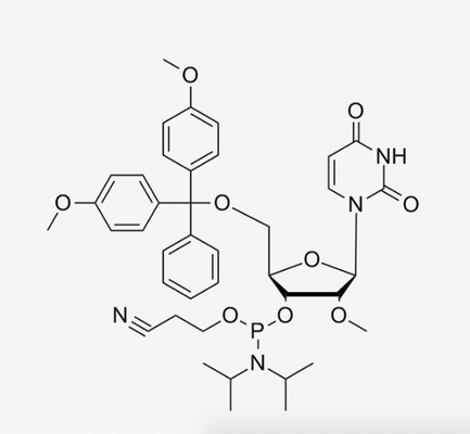 CAS 110764-79-9 5' - O--2'-O-Methyluridine доработало нуклеотиды 3' - синтез олигонуклеотида Phosphoramidite CE