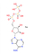 Решение CAS 987-65-5 C10H17N5NaO13P3 ATP 100mm аденозинтрифосфорной кислоты OEM